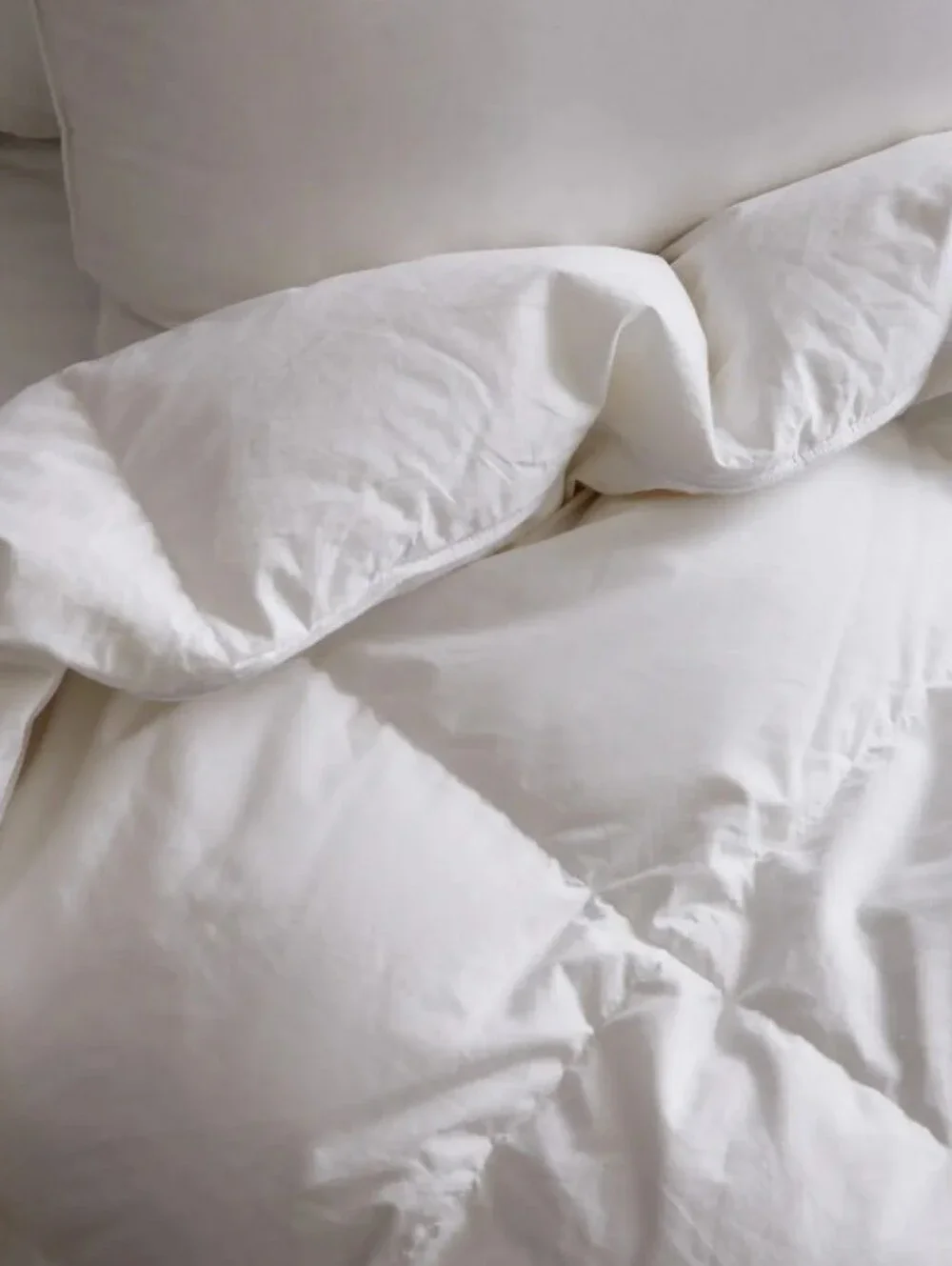 Quince Warm Luxe Premium Goose Down Comforter - white